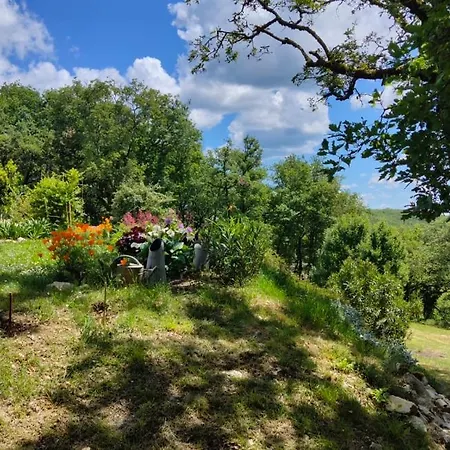 לינה וארוחת בוקר Le Colombie Gouleme Concores