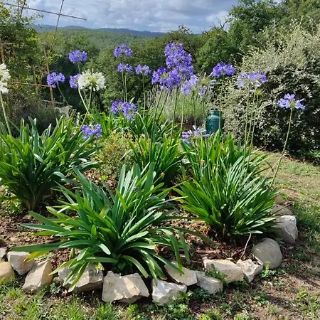 Le Colombie Gouleme Bed & Breakfast