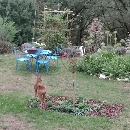 Le Colombie Gouleme לינה וארוחת בוקר 3*