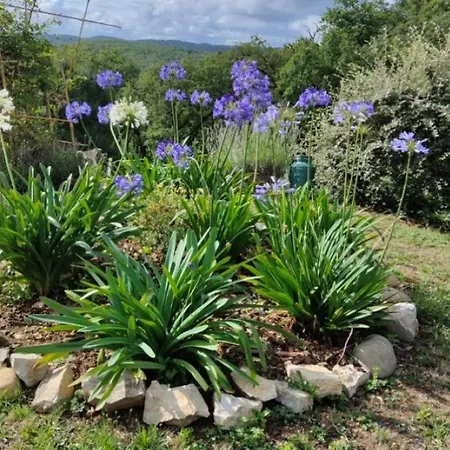 Le Colombie Gouleme Bed & Breakfast Concores